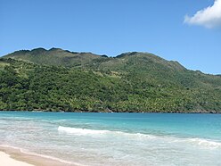 Tropical rainforest climate in Samana, Dominican Republic