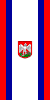 Flag of Radlje ob Dravi