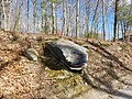 Whale Rock on Mapleville Road, a local landmark