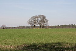 Skyline of Wrestedt