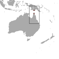 Distribución de S. archeri (En marrón).