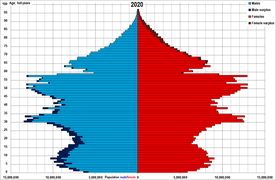 China population pyramid as of 7th National Census day on November 1, 2020