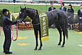 第113回優勝馬クロノジェネシス