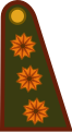 Argentina: General de división.