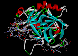 Hirudin-1 (Hirudo medicinalis)