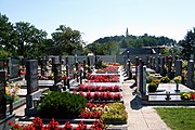 Blick vom Friedhof zur St.-Rochus-Filialkirche (August 2012)