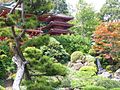 Hagiwara Japanese Tea Garden, a tea garden in San Francisco.