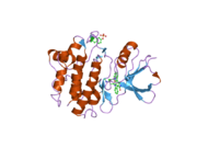 2dq7: Crystal Structure of Fyn kinase domain complexed with staurosporine