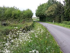 Photographie d'une route près du Mandit.