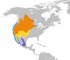 Mapa występowania