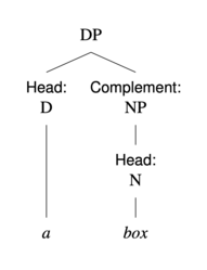 A DP with a head D "a" and a complement NP. The NP is headed by the N "box"