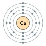 Electron shells of calcium (2, 8, 8, 2)