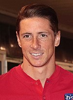 Miniatură pentru Fernando Torres