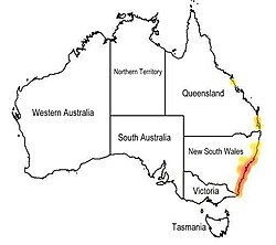 Neidonrosmikin levinneisyys Australiassa.