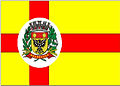 Bandeira de Nhandeara