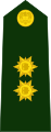 General de brigada del Ejército.