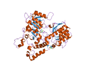 2hzp: Crystal Structure of Homo Sapiens Kynureninase