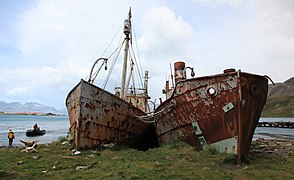 Whaling and sealing ships at Grytviken