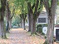 Kleine Alleen befinden sich auf dem Friedhof