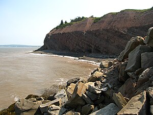 Joggins Fossil Cliffs