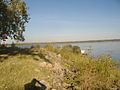 Riverside, looking at the confluence of the Ohio and the Mississippi