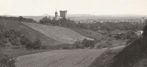 Höllental mit Weinbergen und Peterstirn mit Sattlerschen Bauten, am Horizont der Steigerwald, 1905