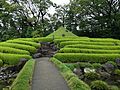 紅葉山庭園の築山