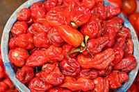 Scotch bonnet