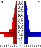 Bevolkingspiramide Radford