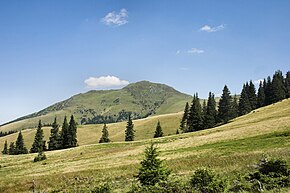 Vârful Fărcău, comuna Repedea, Maramureș