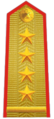 越南人民军陆军大尉肩章