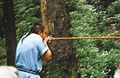 Demonstration of Eastern Cherokee blowgun in Oconaluftee Indian Village, Cherokee, North Carolina