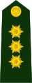 Brigadier general (Colombian National Army)[18]