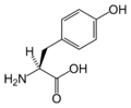 La tirosina, il capostipite delle catecolammine.