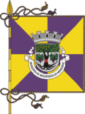 Reguengos de Monsaraz bayrağı