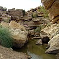 Cold water spring of Kirthar National Park