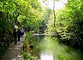 Dovedale, England me naddi ke kinare taharo