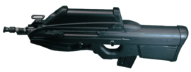 FN F2000S с установленной оптикой