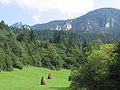 Vrátna dolina u Maloj Fátri u Slovačkoj