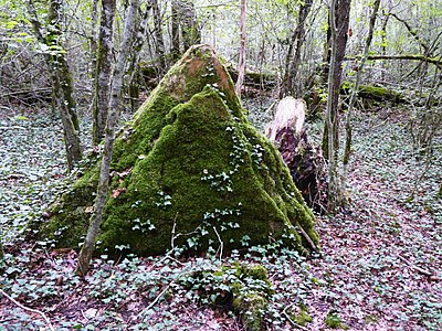 Megalith von Les Coutoux