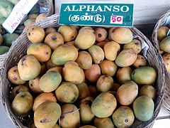 Alphonso Mango