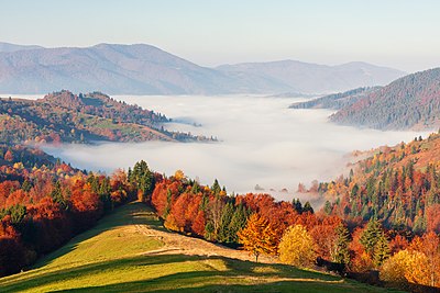 Taman Alam Nasional Synevyr adalah salah satu taman nasional di Ukraina yang terletak di Oblast Zakarpattia. Taman nasional ini ditetapkan pada tahun 1974 dan memiliki area seluas 40.400 hektare.