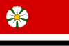 Flag of Růžová