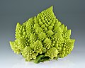 Broccoli Romanesco evidenţiind structuri de fractal naturale foarte fine