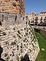 The tower and the moat separating it from the city