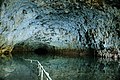 Tunnel di lava a Queensland, Australia