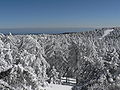 Image 44The Troodos Mountains experience heavy snowfall in winter. (from Cyprus)