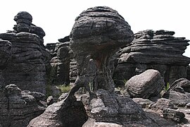 Plateau (tepuy) du mont Roraima, Venezuela.