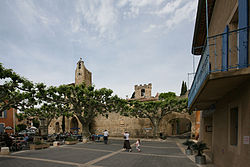 Skyline of Villedieu (Vaucluse)