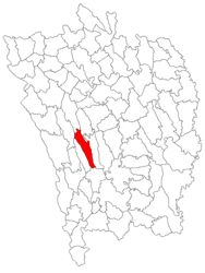 Location in Vaslui County